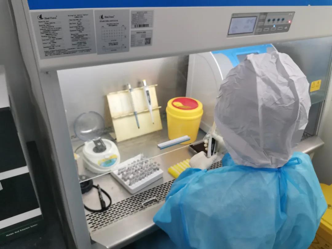 微生物实验室布局图_生物实验室布置_生物实验室室内设计